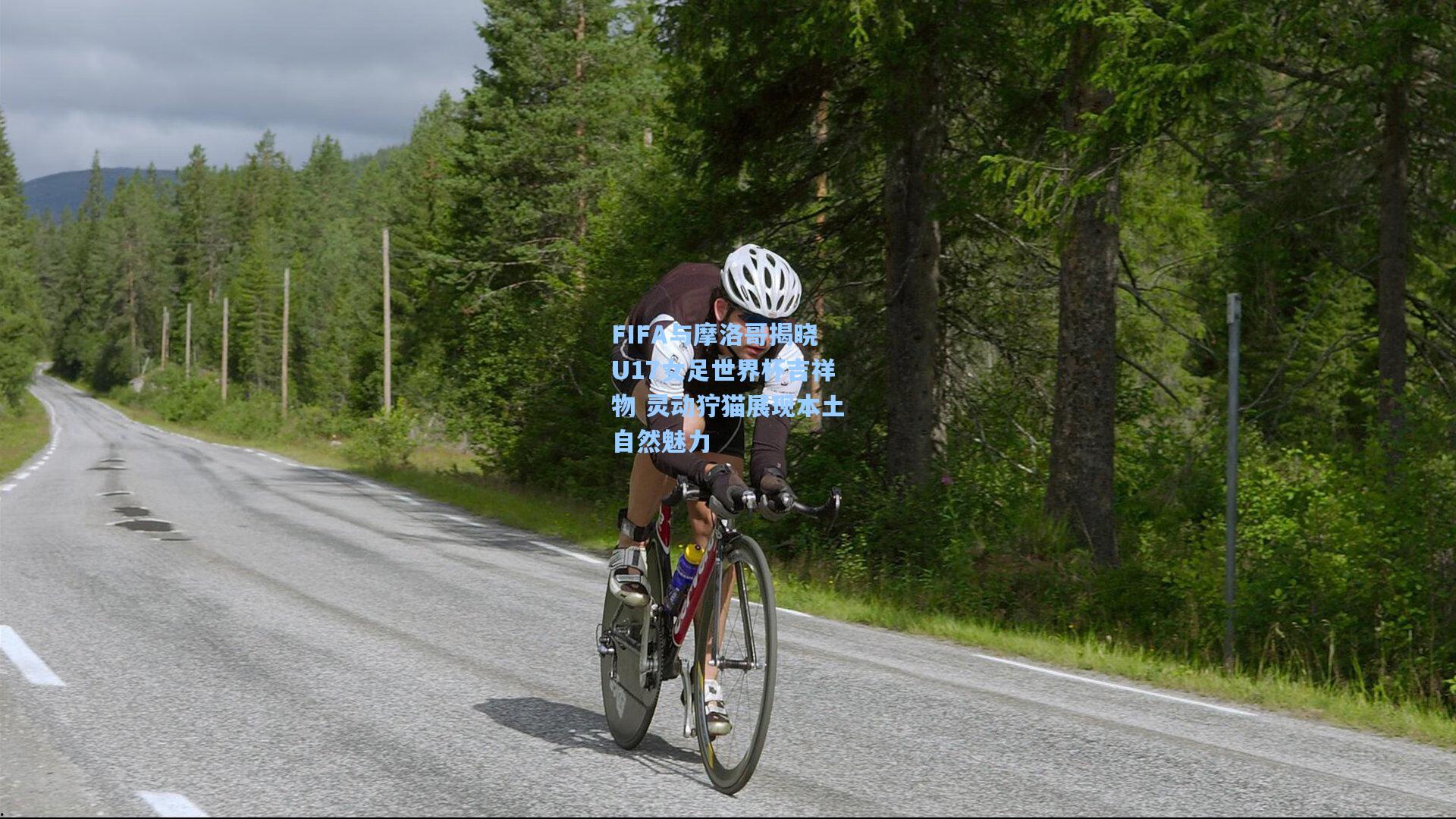 FIFA与摩洛哥揭晓U17女足世界杯吉祥物 灵动狞猫展现本土自然魅力