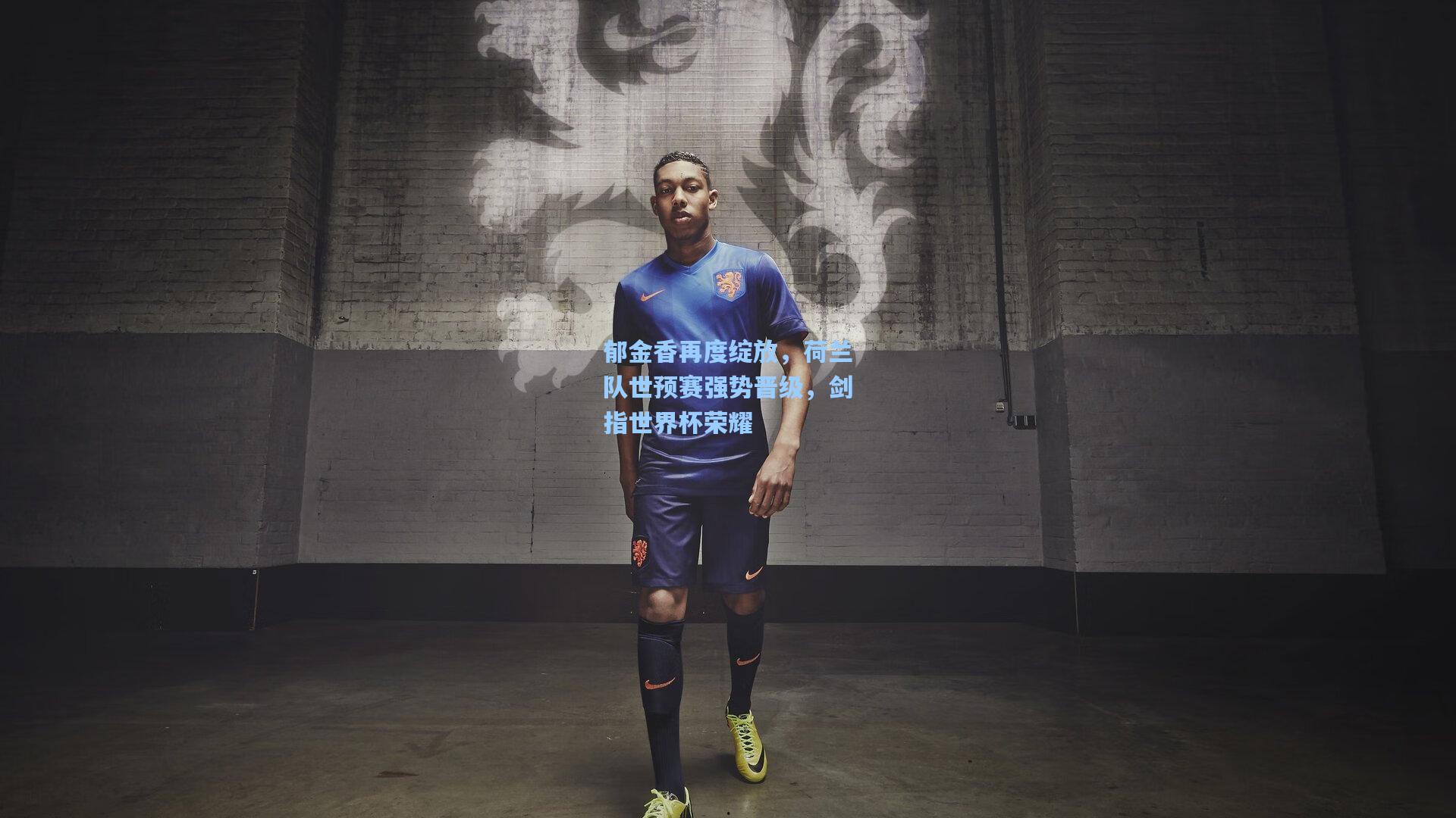 郁金香再度绽放,荷兰队世预赛强势晋级,剑指世界杯荣耀